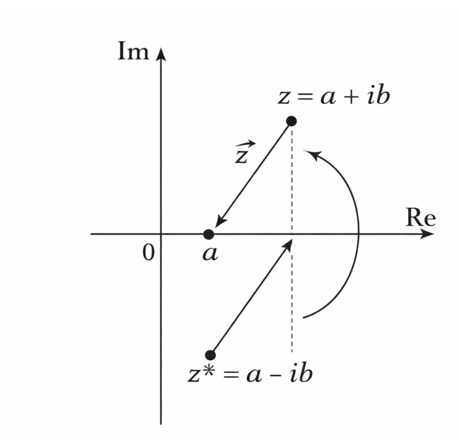 Complex conjugation preserves additivity but violates homogeneity