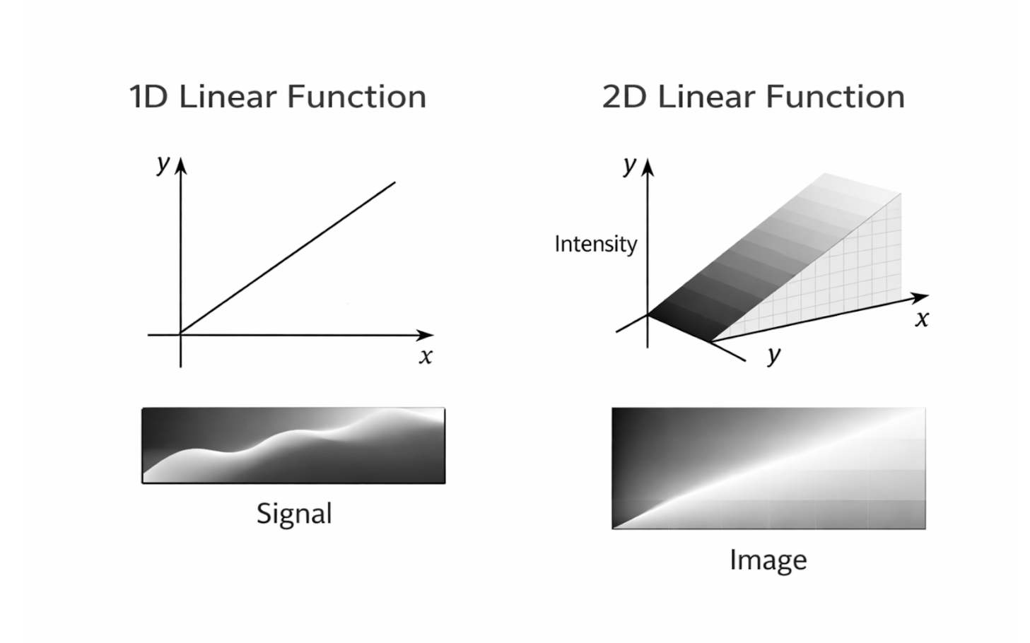One-dimensional signals and two-dimensional images represented as linear functions
