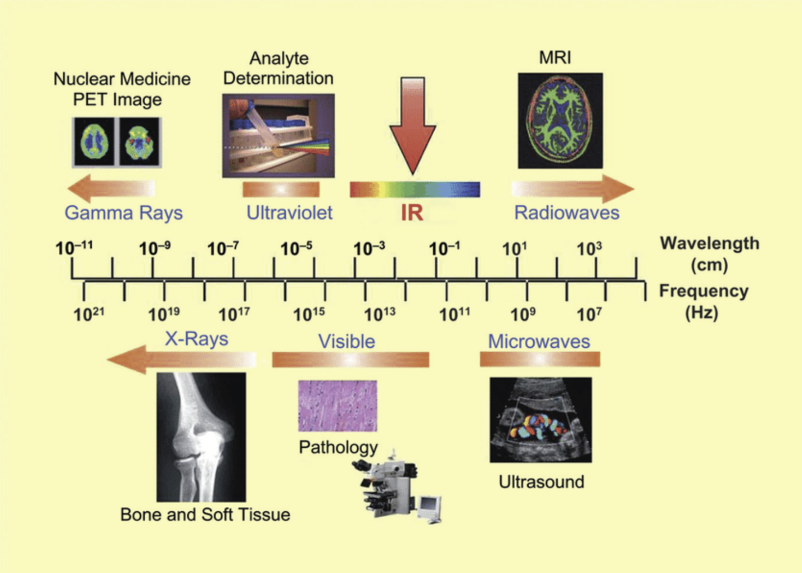 Electromagnetic spectrum showing imaging modalities